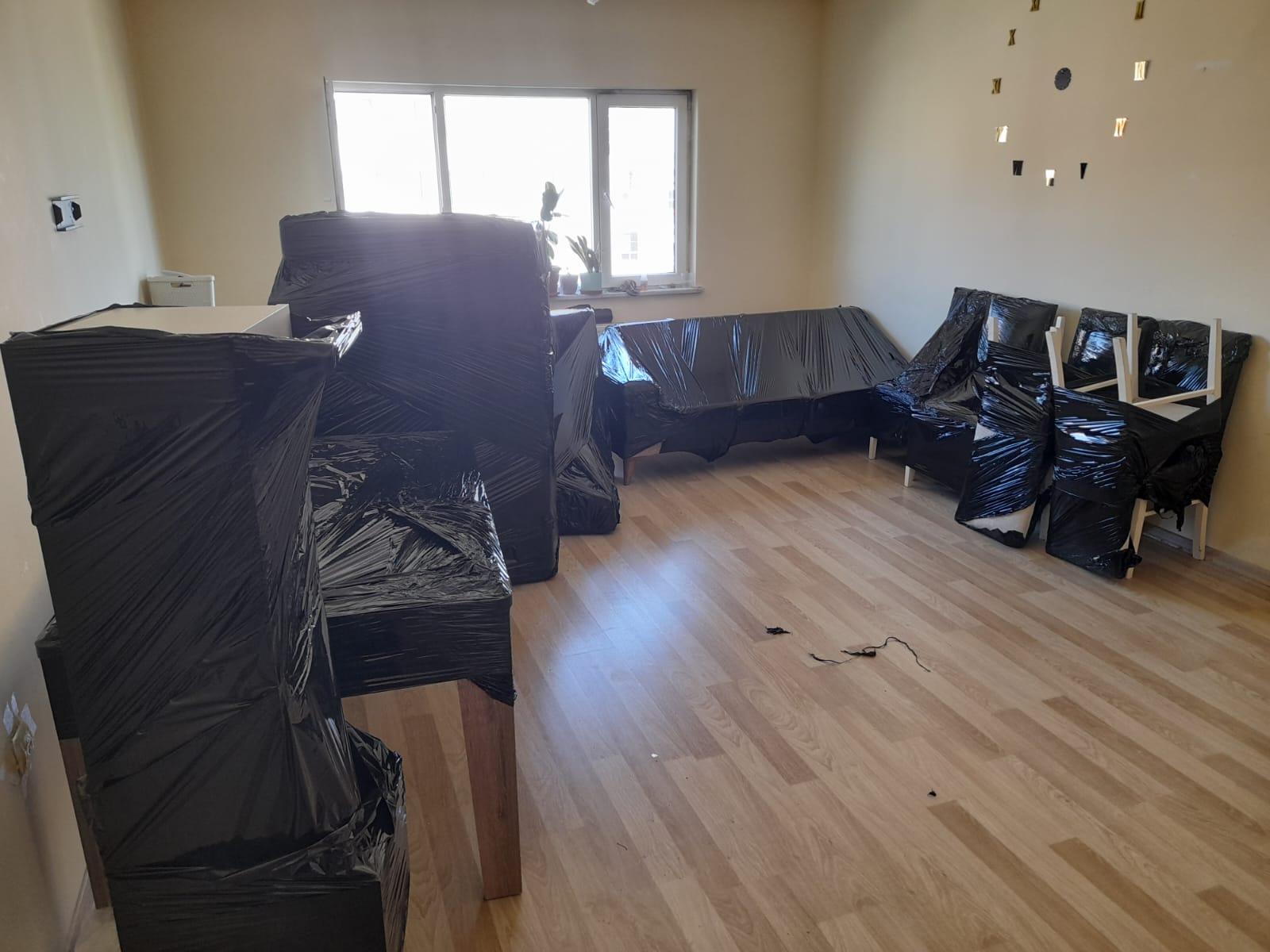 Afyon Ofis Taşımacılığı